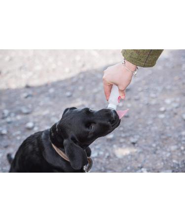 Mikki 6221106 F tterset | International Shipping | High-Quality Feeding Set for Pets - Buy Online on GoSupps.com