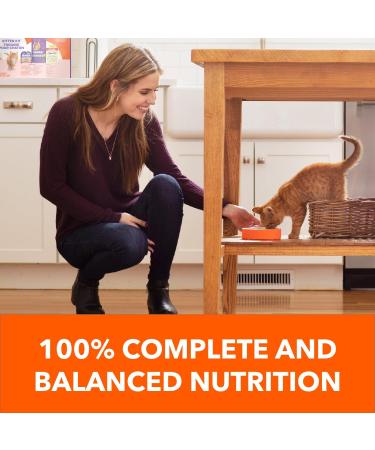 Kitten Start Pack - Includes IAMS Proactive Health Healthy Kitten Dry Cat Food Chicken IAMS Perfect Portions Healthy Kitten Wet Cat Food Chicken & Temptations Kitten Chicken & Dairy Treats 2.67kg Pk - Buy Online on GoSupps.com