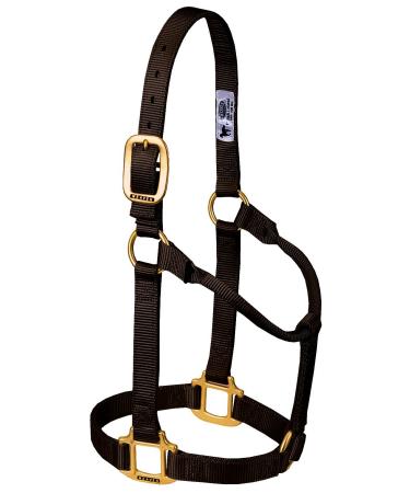 WEAVER Leather Non-adjustable Halter Brown Large Horse