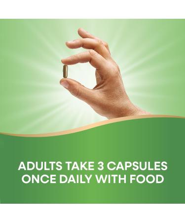 Nature's Way Goldenseal Root 2 Pack - Non-GMO Vegan Digestive Support with Berberine - 50 Capsules Each - Buy Online on GoSupps.com