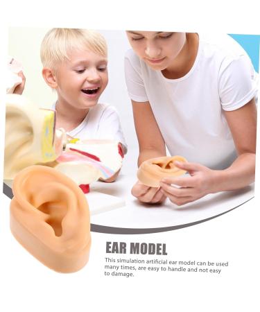 Beavorty Silicone Ear Mold Supplies for Body Acupuncture & Jewelry - Perfect for Pranks & Toy Making - Buy Online on GoSupps.com