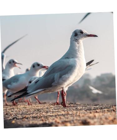 BESPORTBLE 300 Pcs Pigeon Anklet Chicken Stuff African Grey Parrot Leg Ring Poultry Leg Ring Travel Bag Birds 1.3X1.3CMx3pcs Redx3pcs - Buy Online on GoSupps.com