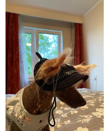 Adjustable Dog Sonnen Hat - Baseball Cap with Ear Holes for Sun Protection | Summer & Outdoor Sports | Black for Small Dogs & Cats - Buy Online on GoSupps.com