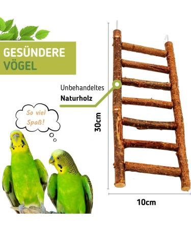 Great Bird Ladder Made of Natural Wood | Glue-Free Wellening Toy for Budgies Nymphics and Canaries | International Shipping Available - Buy Online on GoSupps.com