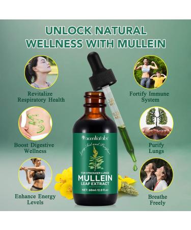 Mullein Leaf Extract for Lungs Mullein Drops for Lungs Mullein Chlorophyll Drops for Lungs Mullein Herbal Supplements with Chlorophyll (2Pack) 1 Fl Oz (Pack of 2) - Buy Online on GoSupps.com