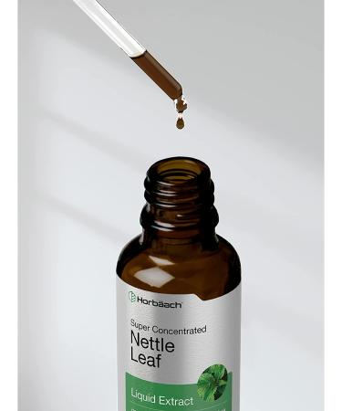 Stinging Nettle Leaf Extract - 2 oz Alcohol-Free Liquid Tincture | Vegetarian, Non-GMO, Gluten-Free | Horbaach - Buy Online on GoSupps.com