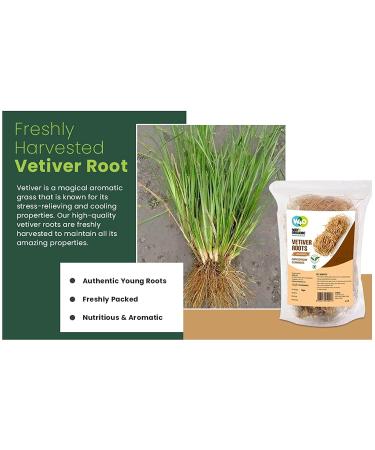 Vetiver Root (50g) Young Roots | Natural Herbal Coolant - Way4Organic - Buy Online on GoSupps.com