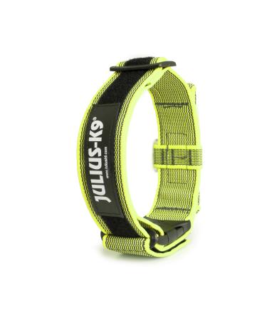 Julius-K9 200ha-K-Ne-2015 Color & Gray collar with a handle safety lock and logo 50 mm*49-70 cm adjustable neon gray with a handle 50 mm (49-70 cm) neon-gray