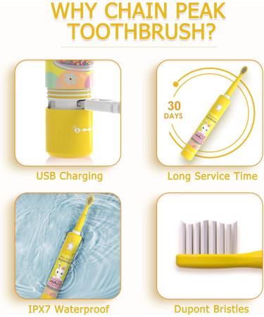 Buy Rechargeable Musical Electric Toothbrush for Kids 3-12 - Intelligent Timer 3 Modes 4 Brush Heads & Holder - Fun Caricature Design! - Buy Online on GoSupps.com
