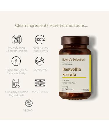 Nature's Selection Boswellia Serrata 2000mg 5:1 Extract | 120 Vegan High Strength Capsules | Indian Frankincense Boswellia | Anti Inflammatory Joint Care | Manufactured in The UK - Buy Online on GoSupps.com