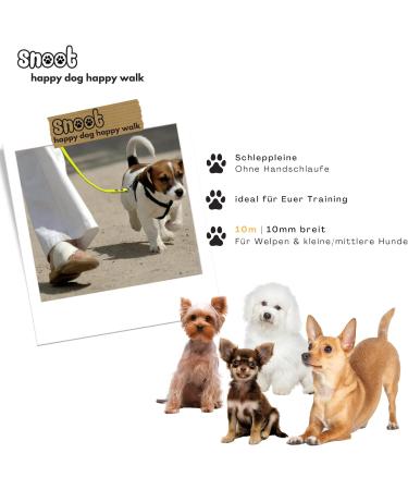 10m Neon Yellow Dog Leash - Extra Narrow Towline with Carabiner | Dirt & Water Repellent for Small Dogs - Buy Online on GoSupps.com