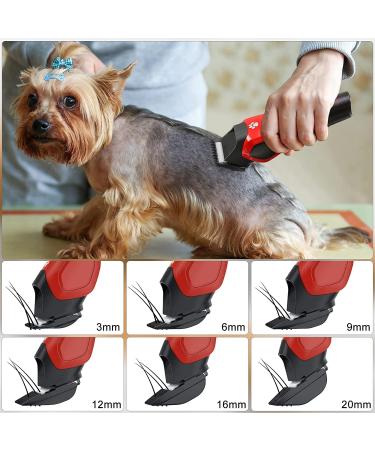 Solimpia Pet Clippers - Rechargeable Cordless Grooming Trimmer Kit for Dogs and Cats | Low Noise Professional Pet Hair Shaver Set - Buy Online on GoSupps.com
