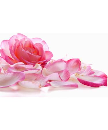  TASTY POTT Tasty Pott Organic Rose Petals | For Tea | As Decoration | Making Rose Water | Rose Tea | Vegan | DIY Natural Cosmetics | Roses | 100g Bag (3 x 100g) - Buy Online on GoSupps.com