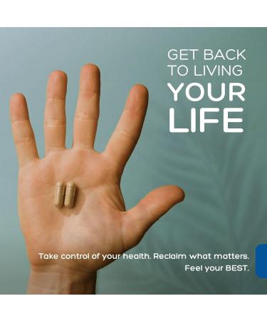 Palmara Health Premium Andrographis Paniculata Extract 2 Pack - 1,200mg (100mg Andrographolides) per Serving, Non-GMO, Vegan, Gluten Free 240 Count (Pack of 1) - Buy Online on GoSupps.com