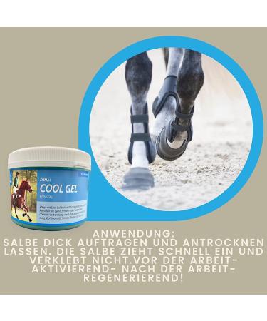 EMMA 2 x Cooling Horse Balm 1000 ml Refreshing Ointment with Arnica Massage Cream for Tendons Joints Muscles and Ligaments Extra Strong Horse Ointment - Buy Online on GoSupps.com