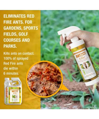EcoRaider EcoVenger Ant & Crawling Insect Killer 16oz - Fast-Acting Citrus Scent Formula | Effective Against Spiders, Centipedes & More | Natural, Non-Toxic, Child & Pet Safe - Buy Online on GoSupps.com
