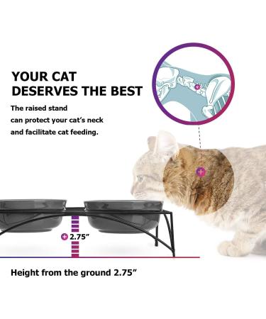 Y YHY Raised Cat Food Bowls with Stand - Small Ceramic Pet Bowls for Cats or Dogs - 12 OZ Grey - Buy Online on GoSupps.com