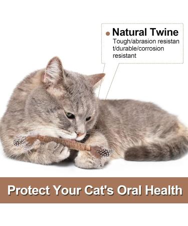 Fanshiontide 6 Packs Silvervine Chew Sticks Cat Chew Sticks Cat Teeth Nip Cat Sticks Cleaning Teeth Chew Catnip Toys Kitten Teething Toys for Cat Teething Cat Teeth Cleaning and Stress Release - Buy Online on GoSupps.com