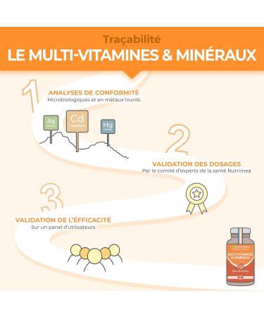 Multivitamins and Minerals - Unique Formula with Ginseng - Vitamins B1 B3 B6 B9 B12 C D3 Iron and Calcium - Energy Vitality Power - Made in France - Nutrimea - Buy Online on GoSupps.com
