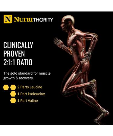 Nutrithority - BCAA Powder Post Workout Recovery Powder with BCAAs Amino Acids L-Isoleucine L-Leucine and L-Valine Improve Muscle Recovery and Hydration Sugar Free (Raspberry Rage) (30 Servings) - Buy Online on GoSupps.com