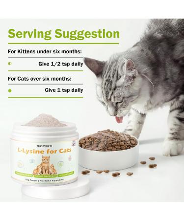 L-Lysine Powder Supplement for Cats Herpes Treatment for Cats - Immune Support & Respiratory Health - Supports Eye & Skin Health - Sneezing Runny Nose Squinting Watery Eyes - 60g - Buy Online on GoSupps.com