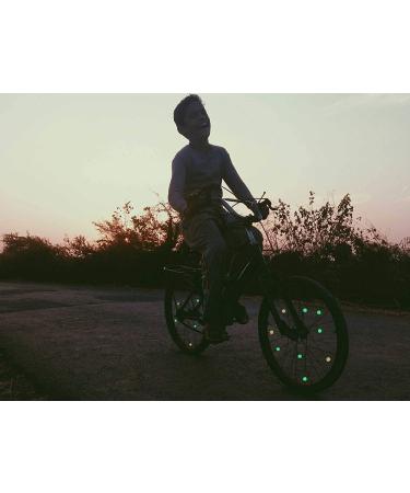 YTYKINOY 216PCS Assorted Colors Bicycle Wheel Spokes Plastic Clip Bead - Luminous Clips Included - Buy Online on GoSupps.com