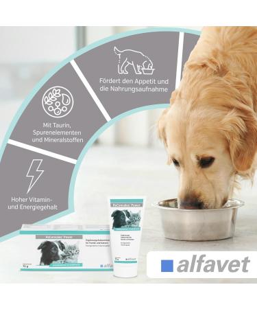 Alfavet ReConvales Power - Dietary Supplement for Dogs & Cats | Fattening Paste for Underweight Pets | 70g Tube - Buy Online on GoSupps.com