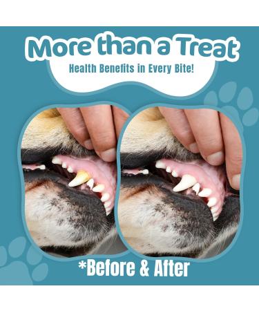 Riverside Rabbit Ears with Fur for Dogs (500g 20-25 Ears) - Very Hypoallergenic 100% Natural Air-Dried Treats For All Dogs - Large Small Adult Puppies - Raw Dog Treats - UK COMPANY 500 g (Pack of 1) - Buy Online on GoSupps.com