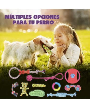 Fonpoo Interactive Dog Toys Set - 10 Natural Cotton Puppy Toys for Teeth Brushing | Perfect for Small & Medium Dogs - Red Frisbee Included - Buy Online on GoSupps.com