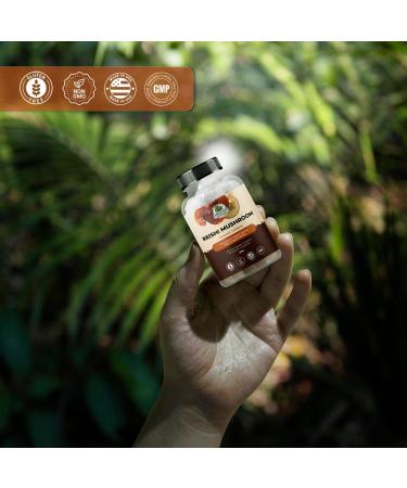 Reishi Mushroom 500mg Extract Tablets - 30% Polysaccharides - Natural Mushroom Complex for Overall Wellbeing and Immune System Support - 30 Count - Buy Online on GoSupps.com