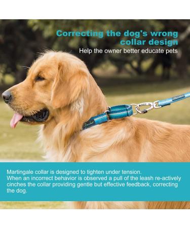 Dazzber Martingale Collars for Dogs - Durable Turquoise Green No Pulling Fits 27.9-38.1 cm Neck Perfect for Small to Medium Dogs - 5/8 Inch Wide - Buy Online on GoSupps.com