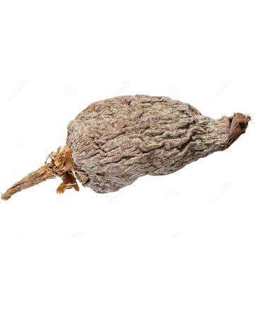 Whole maniguette Guinea pepper pod (paradise seeds) alligator pepper or alligator pepper - Buy Online on GoSupps.com