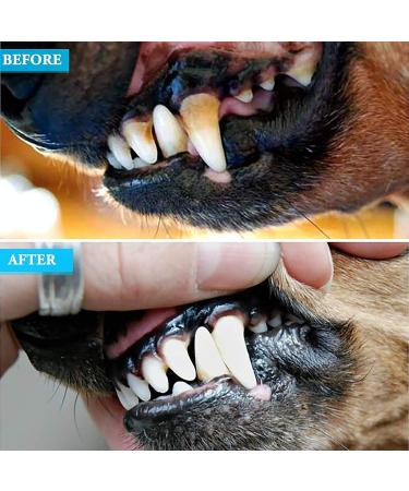 ZOVIRA Dental Plaque Remover for Dogs & Cats | Double Headed Teeth Whitening Kit | Stainless Steel | Small Puppy & Pet Friendly - Buy Online on GoSupps.com