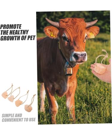 CIMAXIC 4pcs Salt Blocks Add Elements Pet Hanging Lick Salt Rabbit Salt Licking Salt Brick Mineral - Buy Online on GoSupps.com