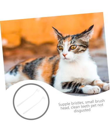 Angoily 2pcs Tools Pet Care Supplies Oral Puppy Teeth Cat Portable Soft-bristle Manual Cleaning Tooth Home 1 count (Pack of 1) White - Buy Online on GoSupps.com