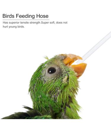 Buy 3-Piece Baby Bird Hand Feeder Spray - Parrot & Young Birds Feeding Accessories - Random Color - Buy Online on GoSupps.com