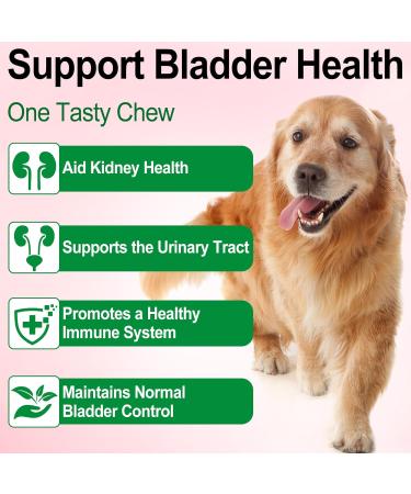 Dog Urinary Tract Infection Treatment Drops with Cranberry Extract - Supports Bladder, Kidney Stone Prevention & UTI - Bacon Flavor - 60ml - Buy Online on GoSupps.com