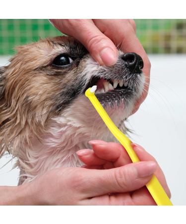 Buy Soft Bristle Pet Toothbrush Set for Small Dogs & Cats - 5 Pcs Round & Pointed Heads Ideal for Puppy & Kitten Dental Care - Buy Online on GoSupps.com
