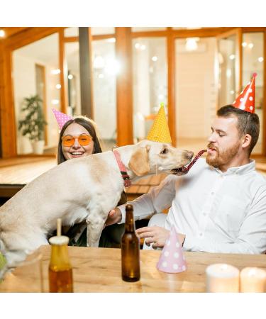 CREPUSCOLO 11pcs Dog Party Hat Set Happy Birthday Party Hat for Dog Puppy Cats Kittens Birthday - Buy Online on GoSupps.com