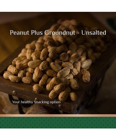 SHREGO Peanut Plus Roasted Groundnut Unsalted 375G - Buy Online on GoSupps.com