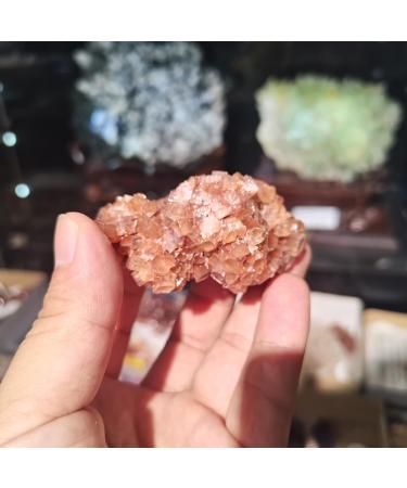 200g Natural Orange Aragonite Quartz Rough Stone Cluster Nepheline SpecimenNatural Stones and Minerals 1pcs Can be Used for (Size : 150-200g) Home Collections (Size : 100-150g) - Buy Online on GoSupps.com