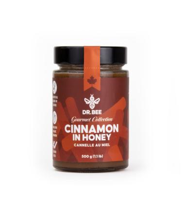 Cinnamon in Honey - Dr. Bee Gourmet Collection Organic Cinnamon Pure Canadian Honey (500g)