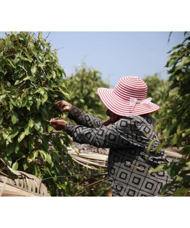 Buy Vinativo Fermented Pepper - Whole 500g | Premium Gourmet Quality - International Shipping - Buy Online on GoSupps.com