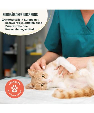 Wolf Belly Cranberry Powder for Dogs & Cats - Natural Bladder Health Struvite Stone Relief & Incontinence Support (60g) - Buy Online on GoSupps.com