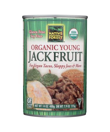 Native Forest Organic Young Jackfruit 14 Ounce - Pack of 6