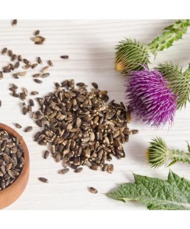 Alpi Nature Alpi Nature Whole Milk Thistle Seeds 100g Seeds for Preparing Milk Thistle Herbal Tea - Buy Online on GoSupps.com
