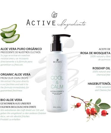  Beysey living natural Gel Aloe Vera Cool&CALM (pack 3 x 200 ml) - Buy Online on GoSupps.com