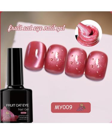 Magnet for cat eyes magnetic for Chat Eye Collection 12 bottles kit art for nail women and girls manicure - Buy Online on GoSupps.com