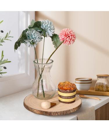 Foracks Natural Wood Slices 8-9 Inches - 6 Pack DIY Crafts Kit Circles | Unfinished Wood Ornaments Discs - 6 Pieces - Buy Online on GoSupps.com