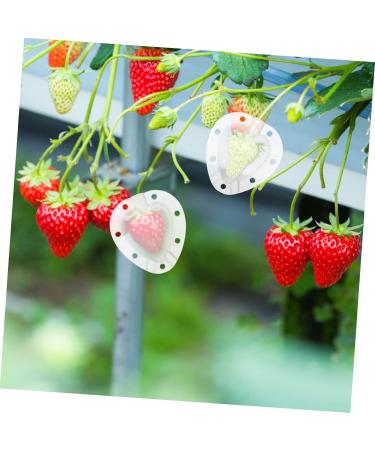 Mipcase 5pcs Fruit Shaping Mold Garden Tool Fruit Protection Cucumber Mold Vegetable Fruit Cucumber White - Buy Online on GoSupps.com